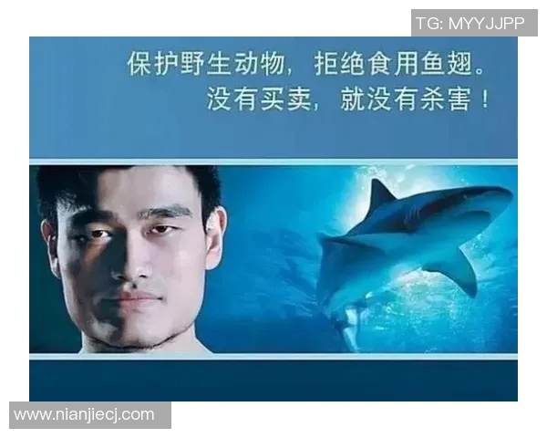 姚明挑战极限饮食鲨鱼大餐引发网友热议与健康讨论